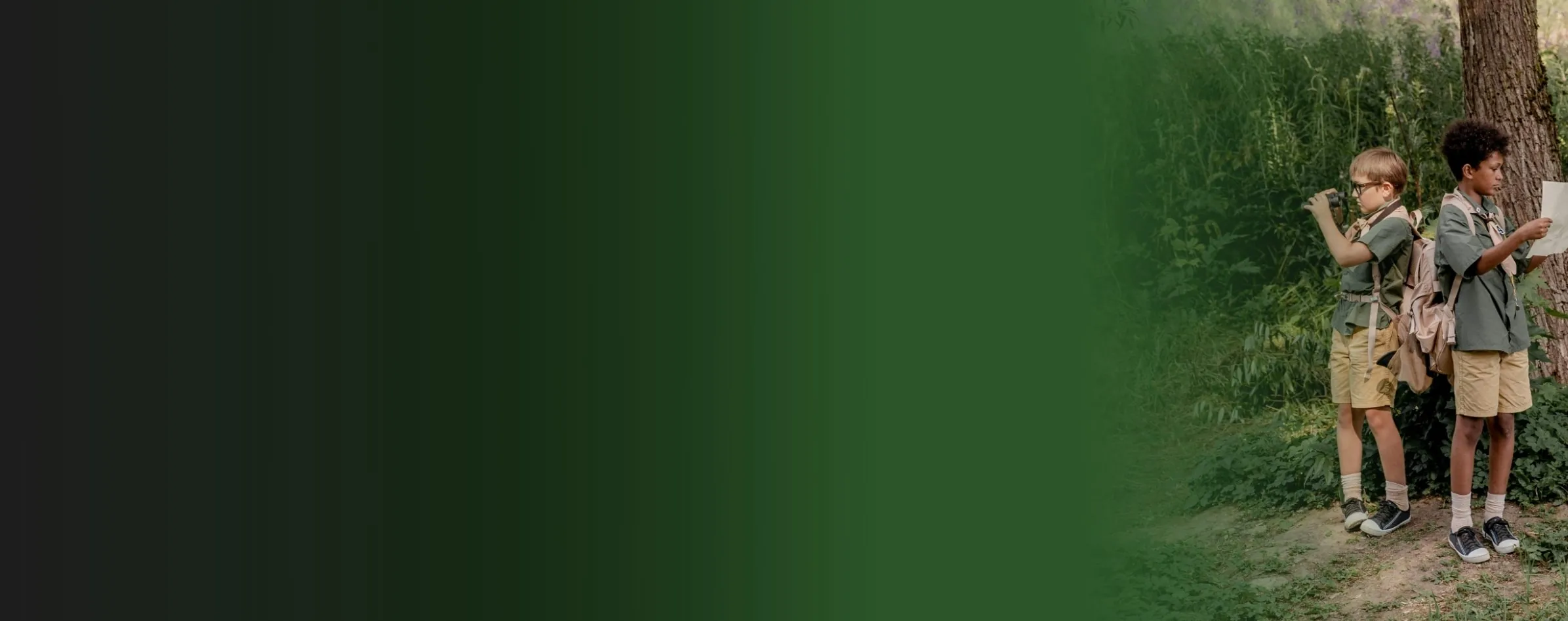 background showing LogicRun